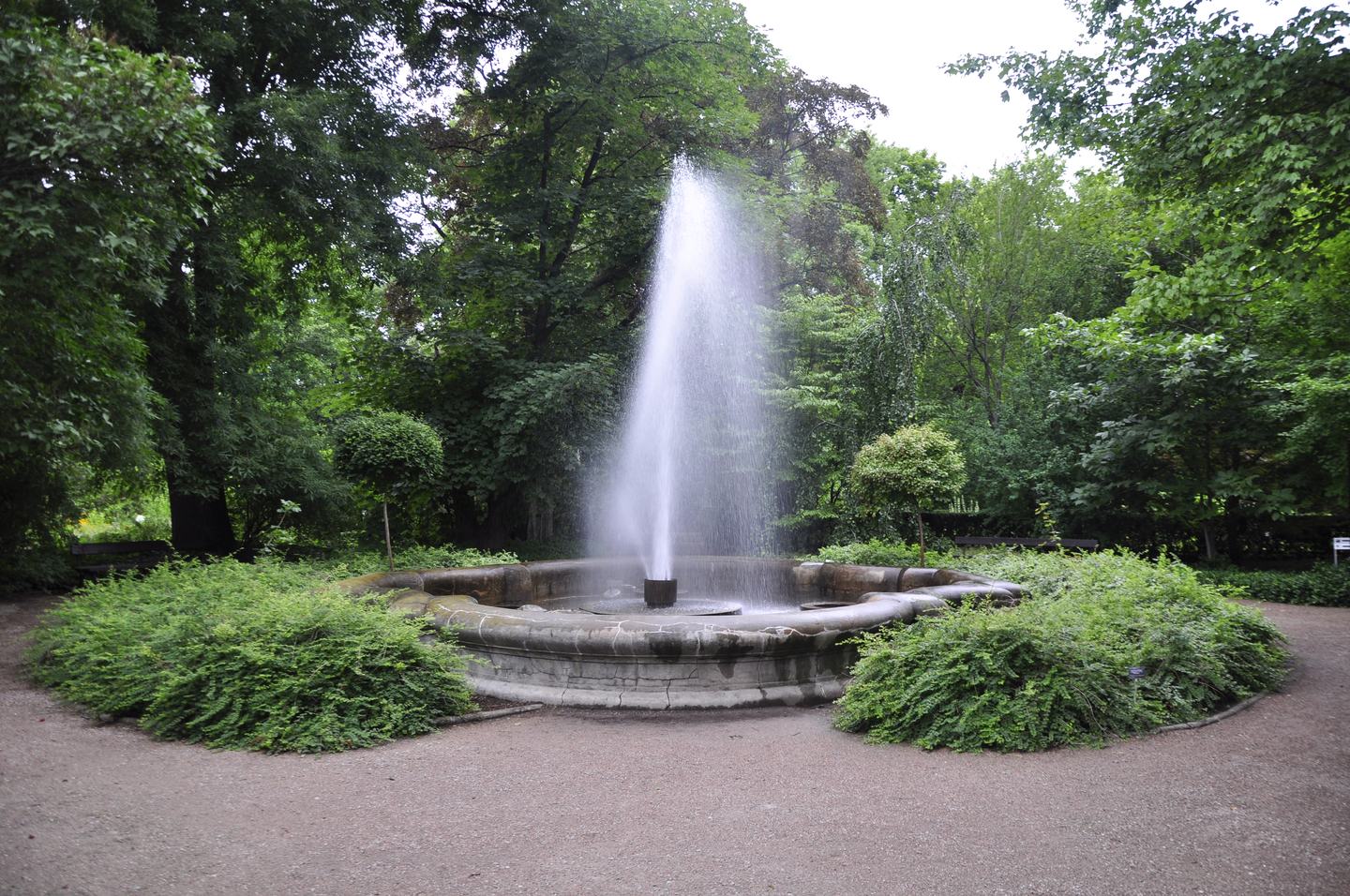 The fountain in the University of Warsaw Botanic Garden, July 2011.